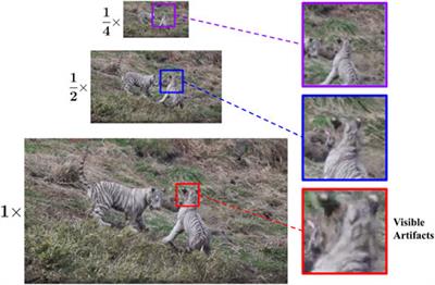 MRET: Multi-resolution transformer for video quality assessment